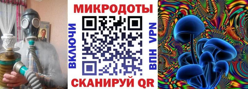 Купить где  Армавир  Псилоцибиновые грибы мицелий 